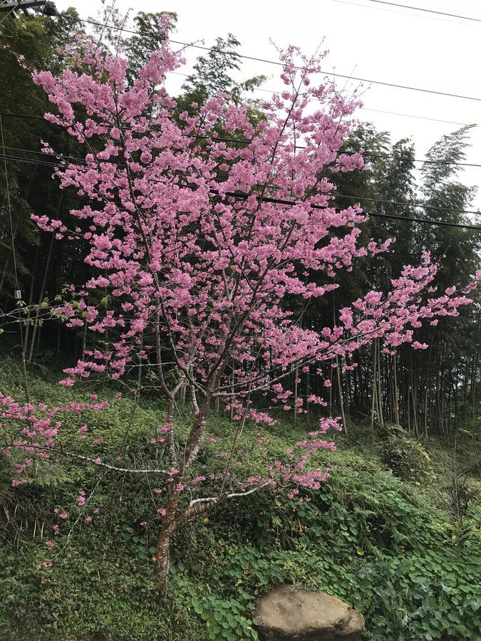 Zhu Yuan Homestay Fenchihu Bagian luar foto